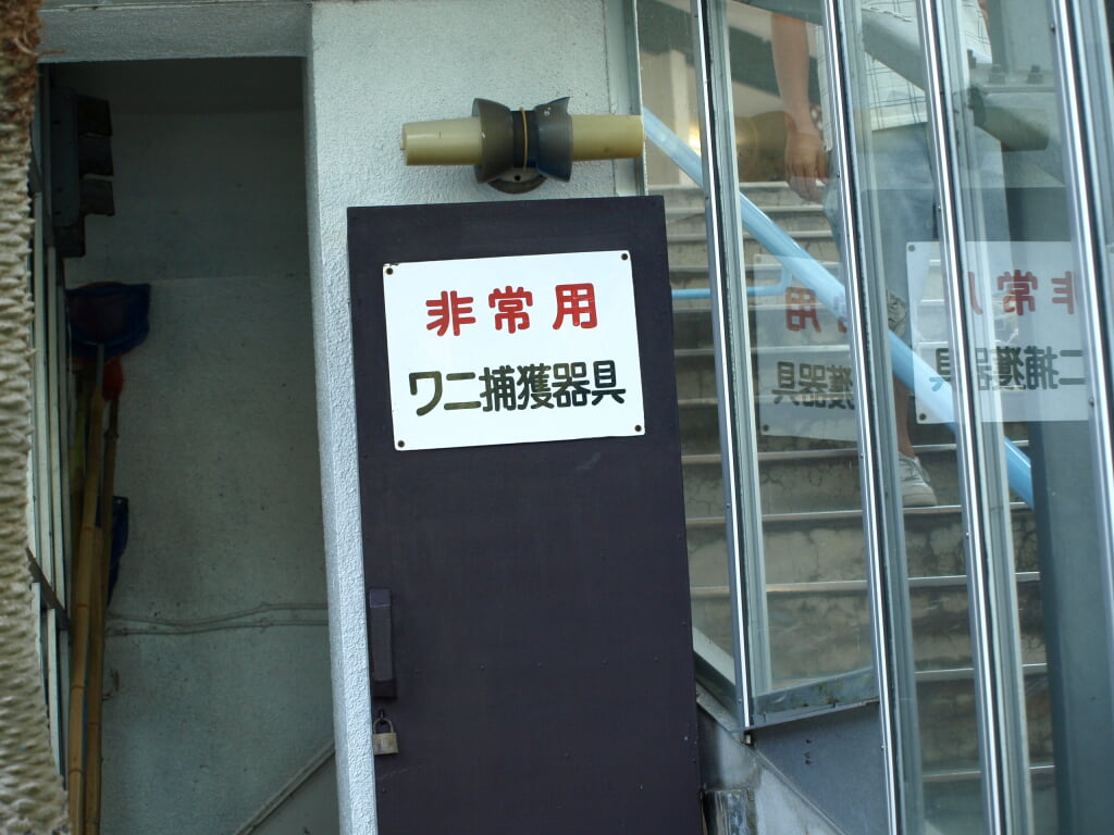 熱川バナナワニ園の写真9