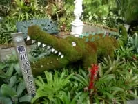 熱川バナナワニ園