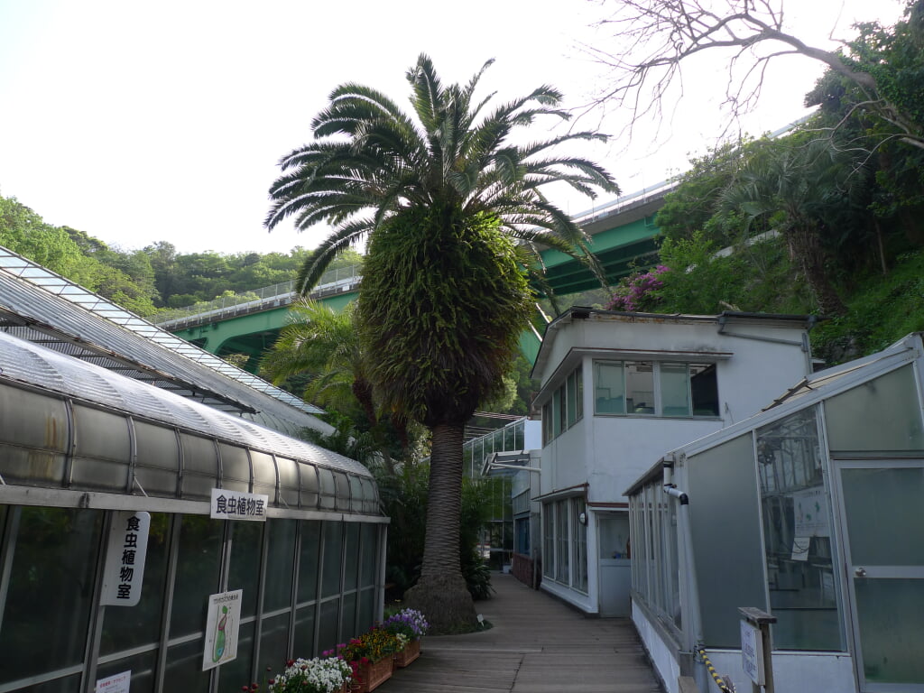 熱川バナナワニ園の写真11