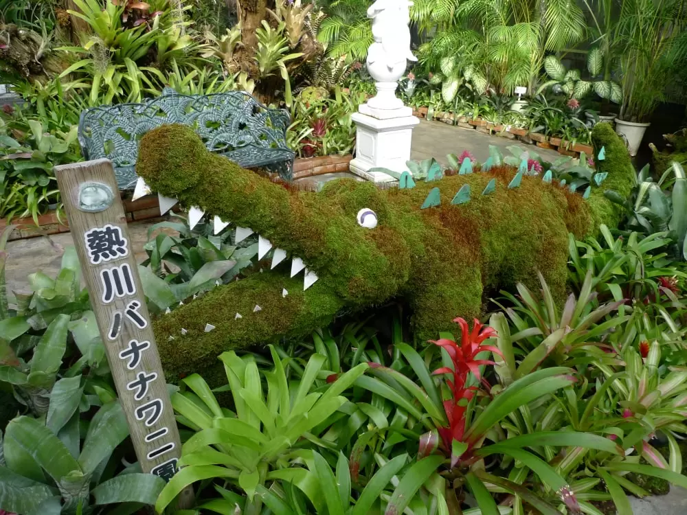 熱川バナナワニ園の写真1