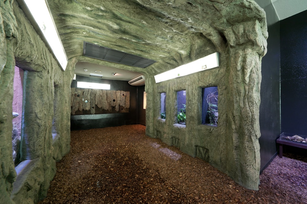 体感型動物園iZooの写真2