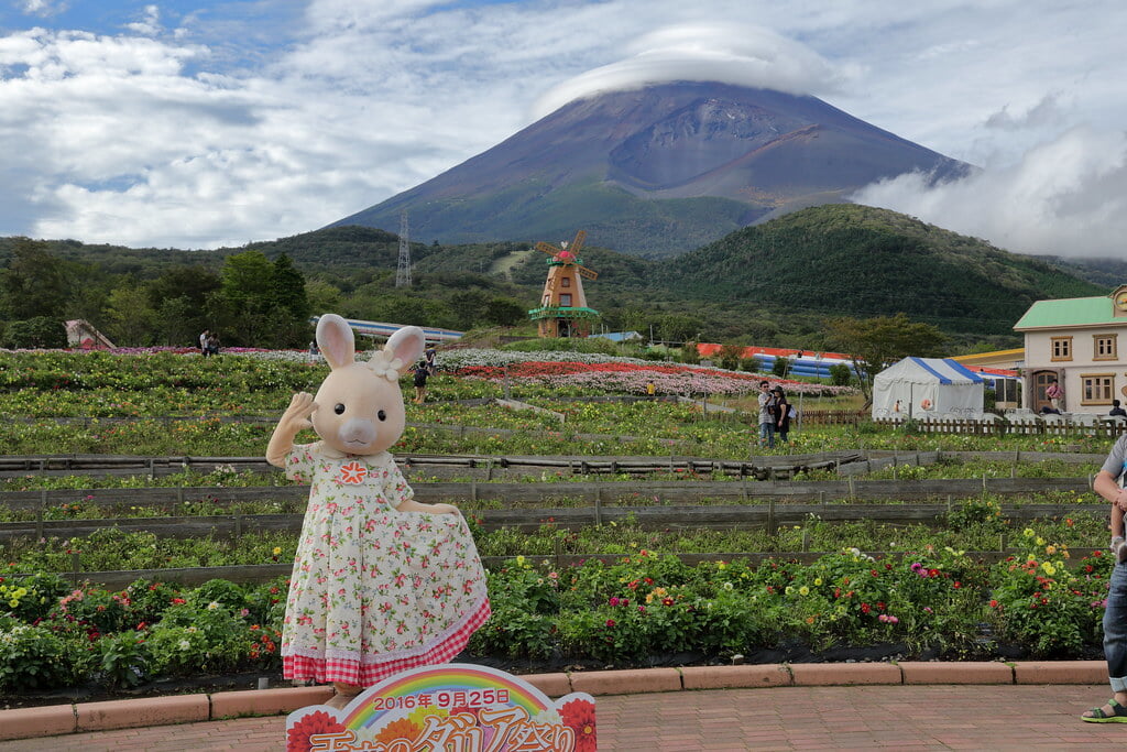 遊園地 ぐりんぱの写真15
