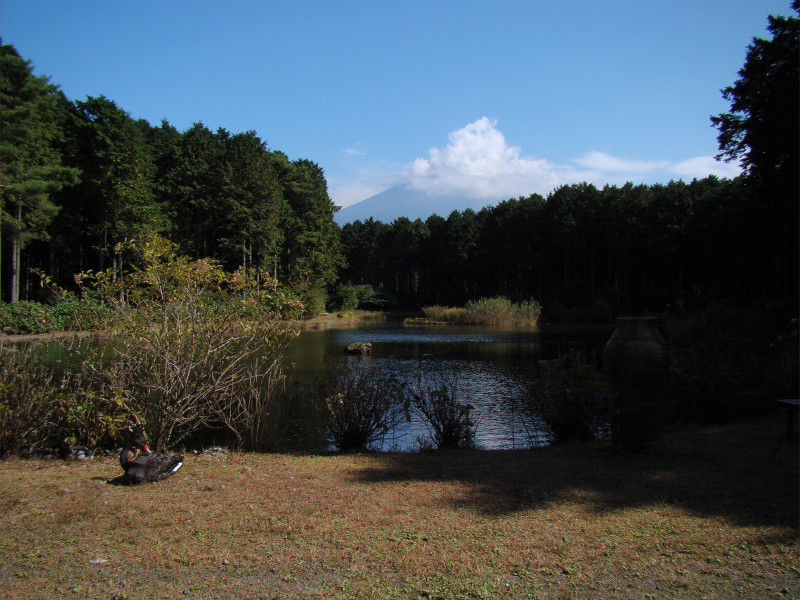 富士花鳥園の写真2