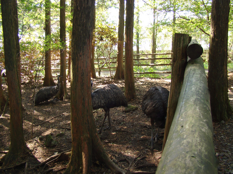 富士花鳥園の写真3