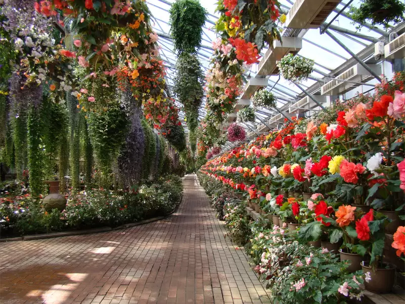 富士花鳥園の写真1
