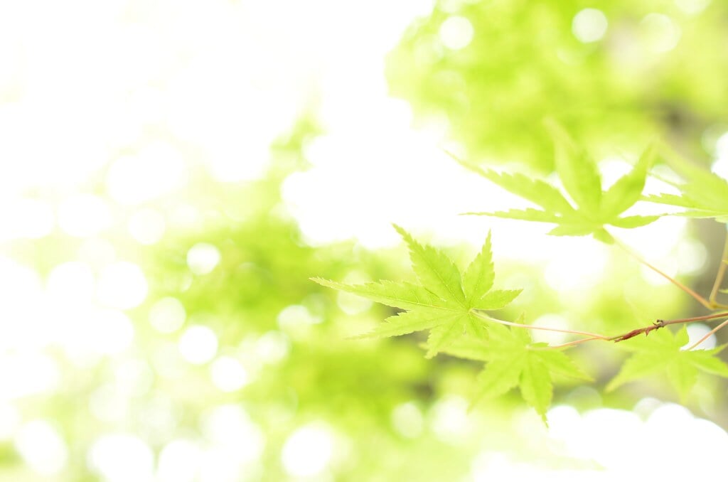 犬山温泉 名鉄犬山ホテルの写真3