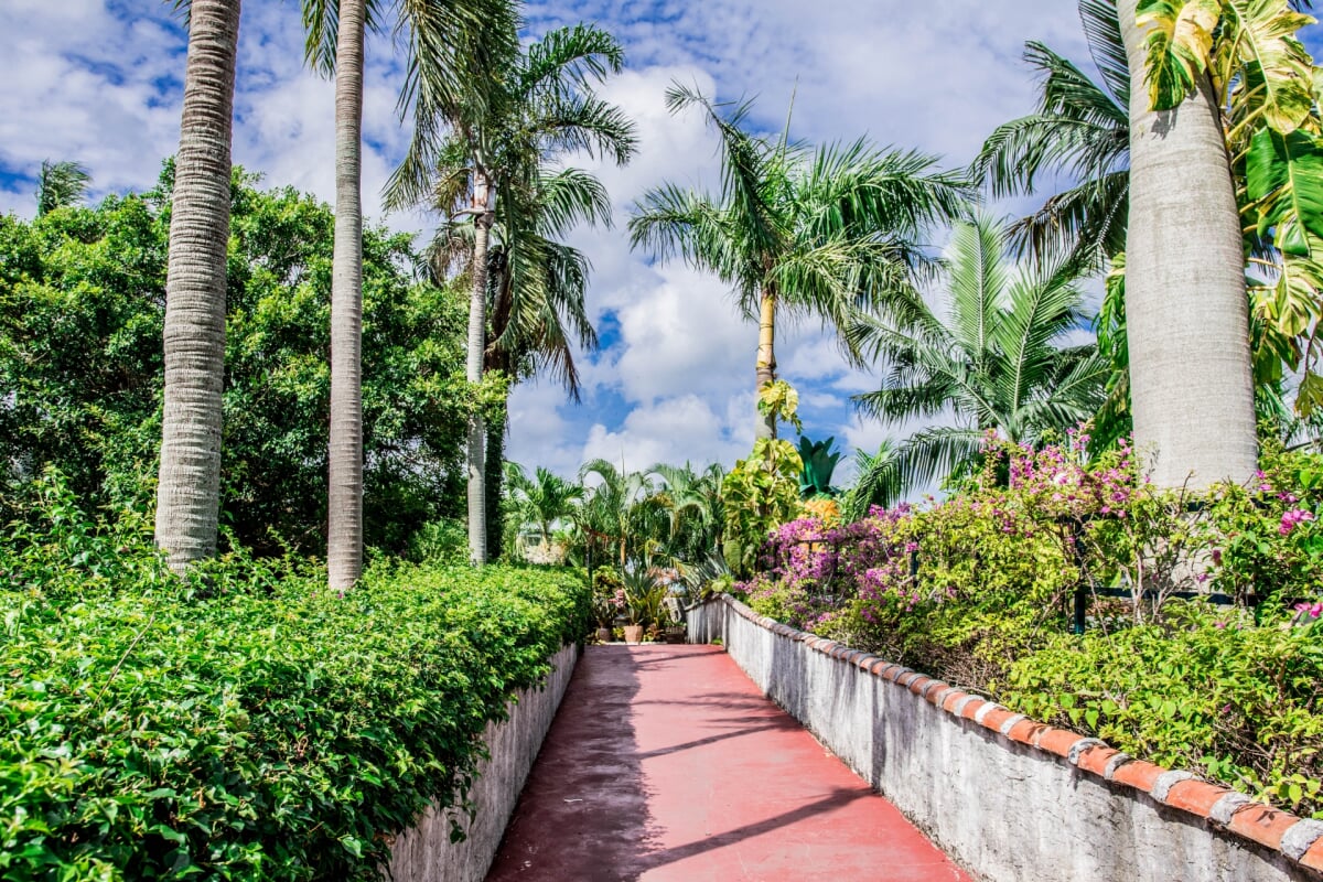 ナゴパイナップルパークの写真5