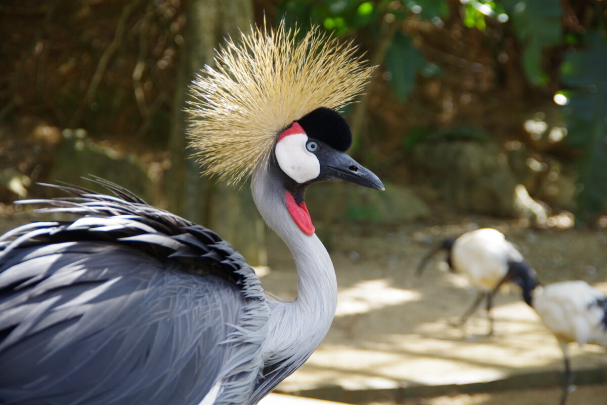 ネオパークオキナワの写真2