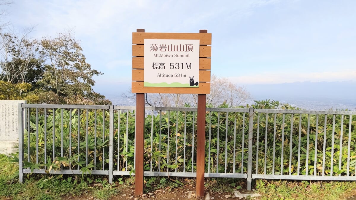 もいわ山ロープウェイの写真8