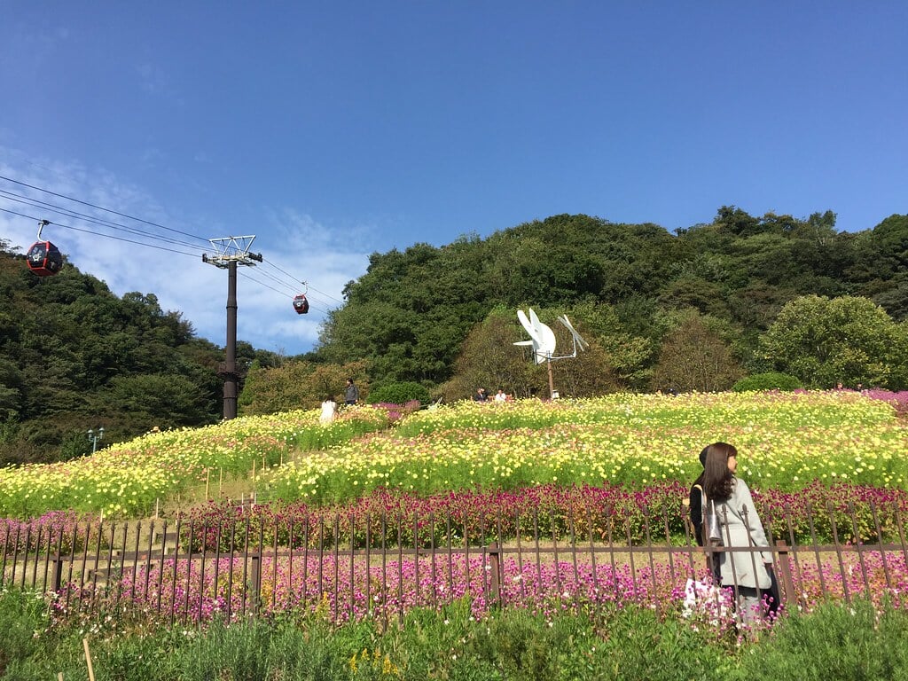 神戸布引ハーブ園/ロープウェイの写真4