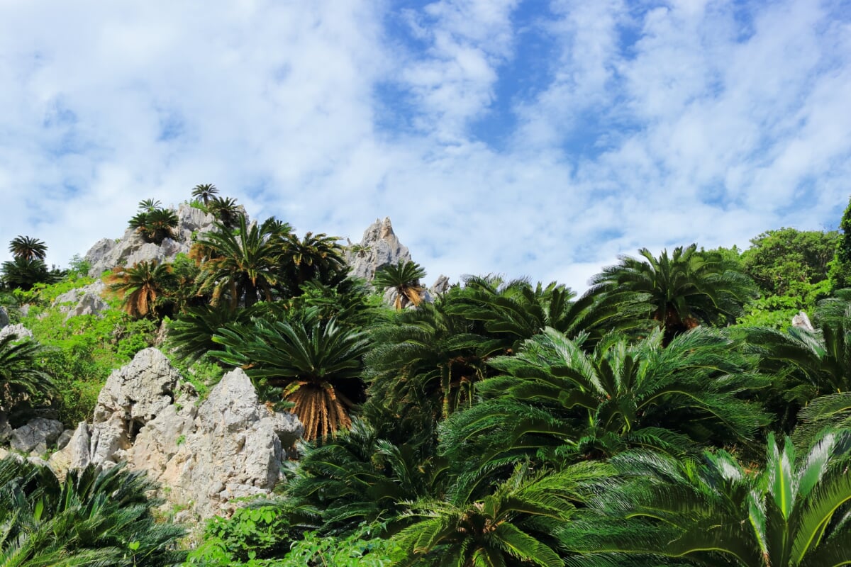 大石林山の写真3