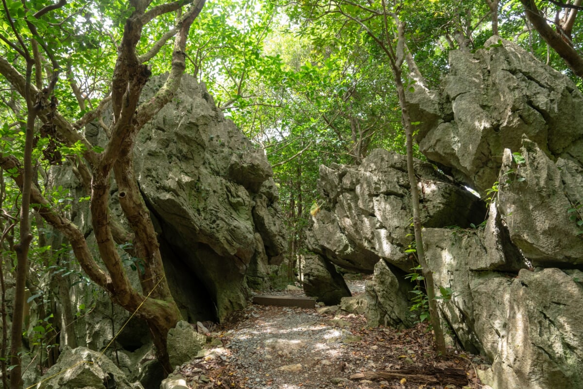 大石林山の写真4