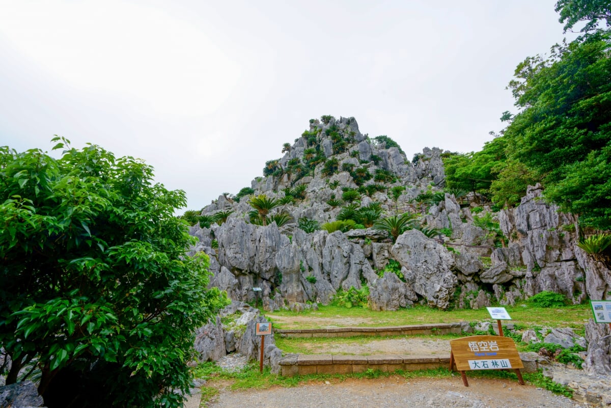 大石林山の写真7