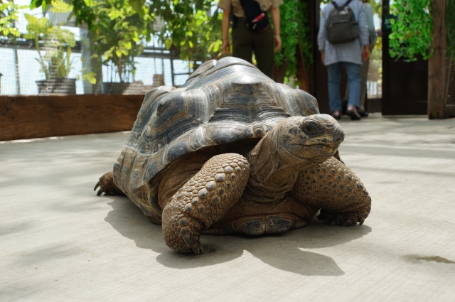 神戸どうぶつ王国の写真10