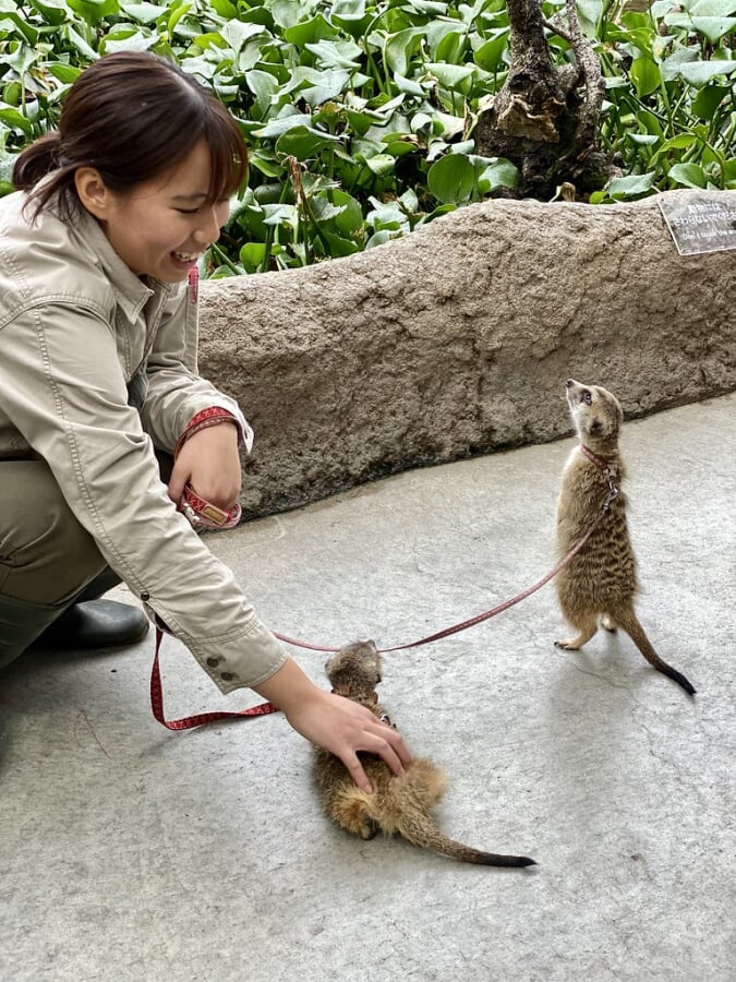 神戸どうぶつ王国の写真11