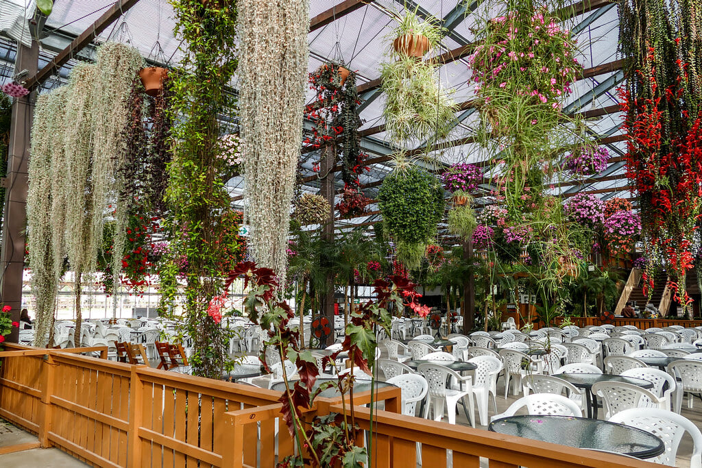 神戸どうぶつ王国の写真13