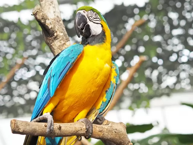 神戸どうぶつ王国の写真1