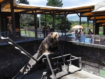 阿蘇カドリー・ドミニオンの写真3