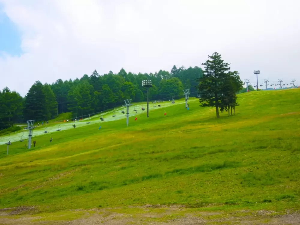 丸沼高原の写真1