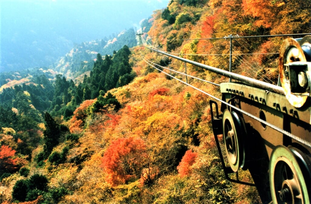 身延山ロープウェイの写真3