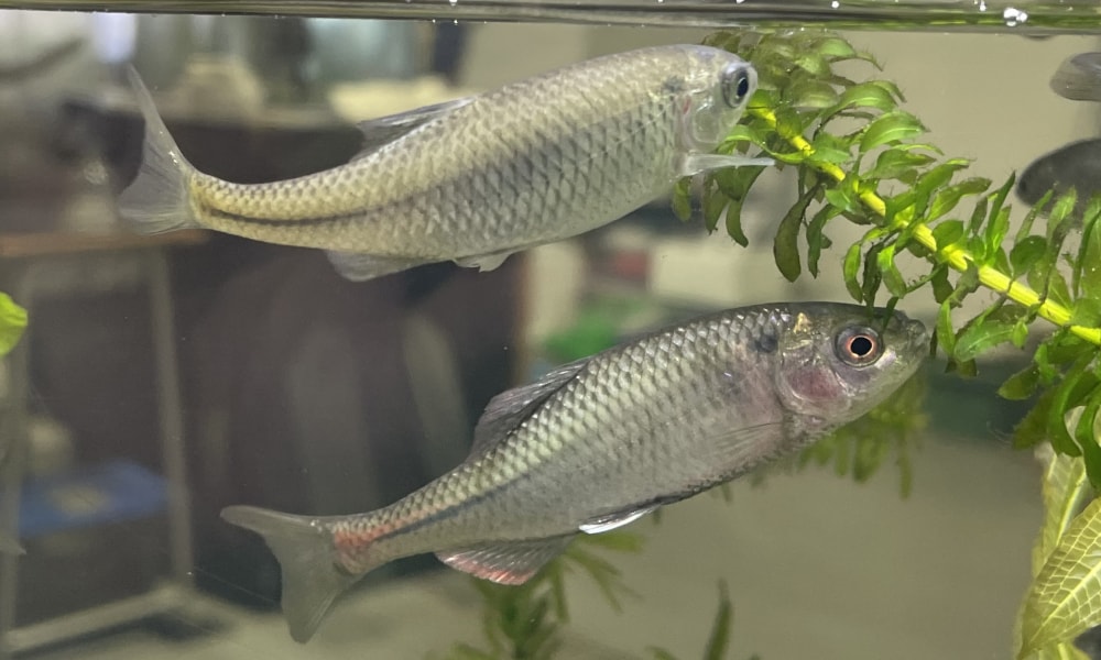 仙台うみの杜水族館の写真4