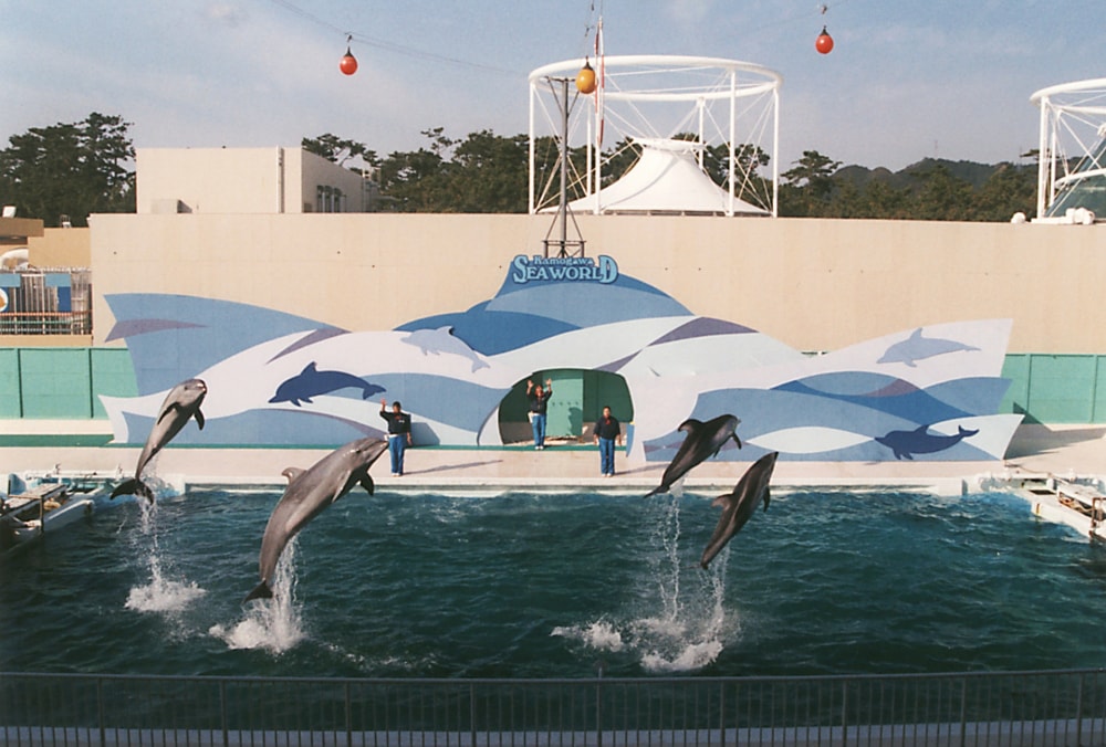  鴨川シーワールドの写真2