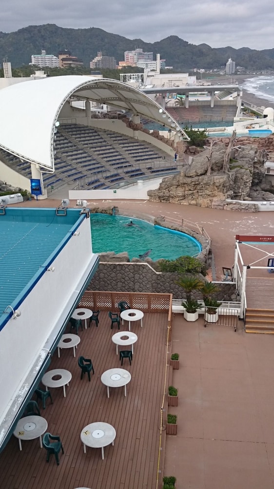  鴨川シーワールドの写真3