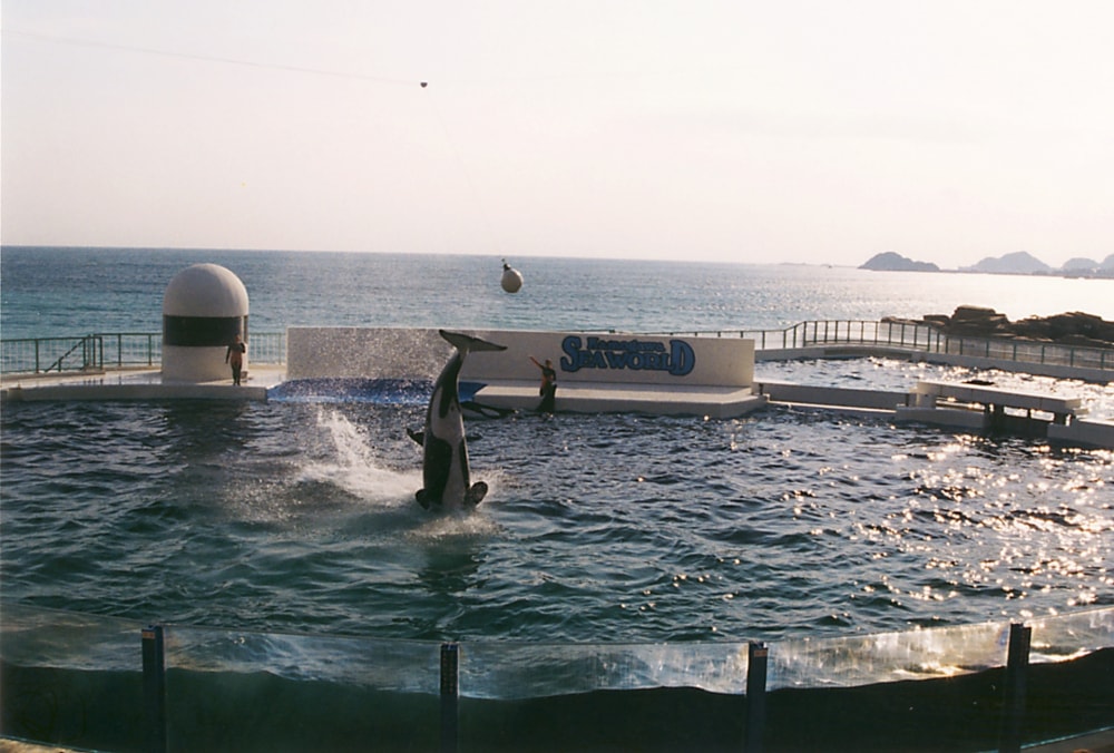  鴨川シーワールドの写真7