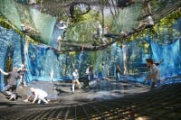 森の空中あそび パカブ