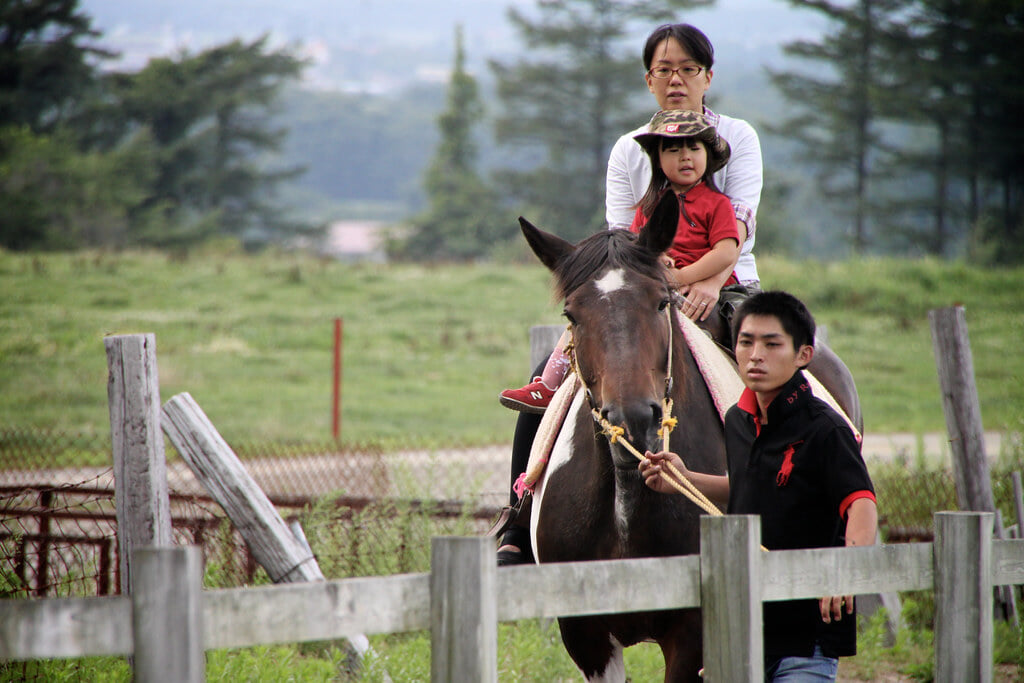 ハイジ牧場の写真3