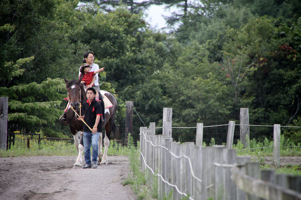 ハイジ牧場の写真7