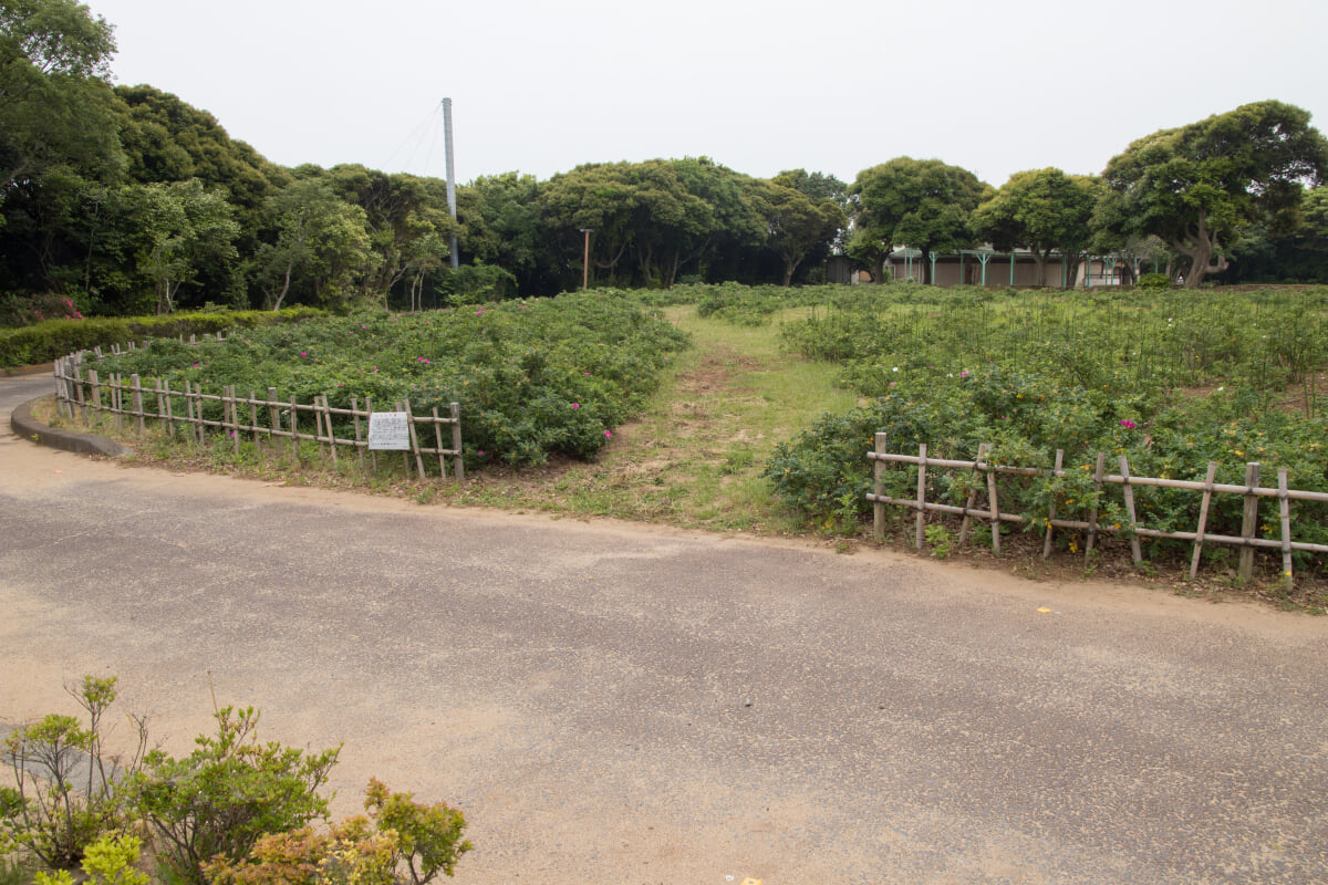 大野潮騒はまなす公園の写真4