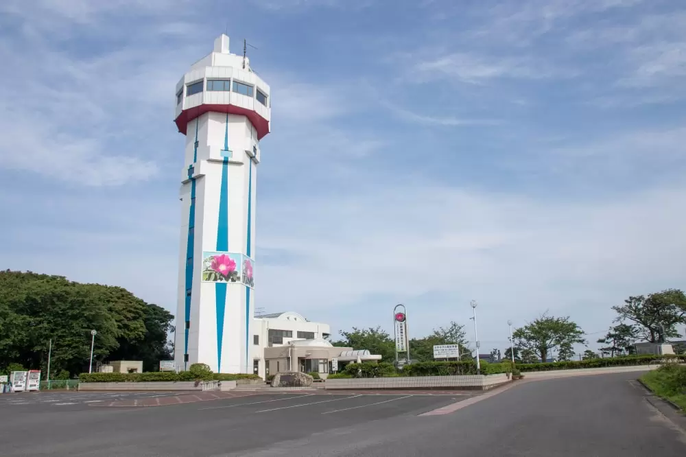 大野潮騒はまなす公園の写真1