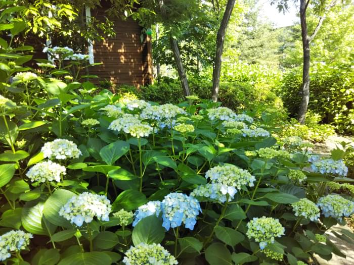 大阪リゾート ホテル・ロッジ舞洲の写真3
