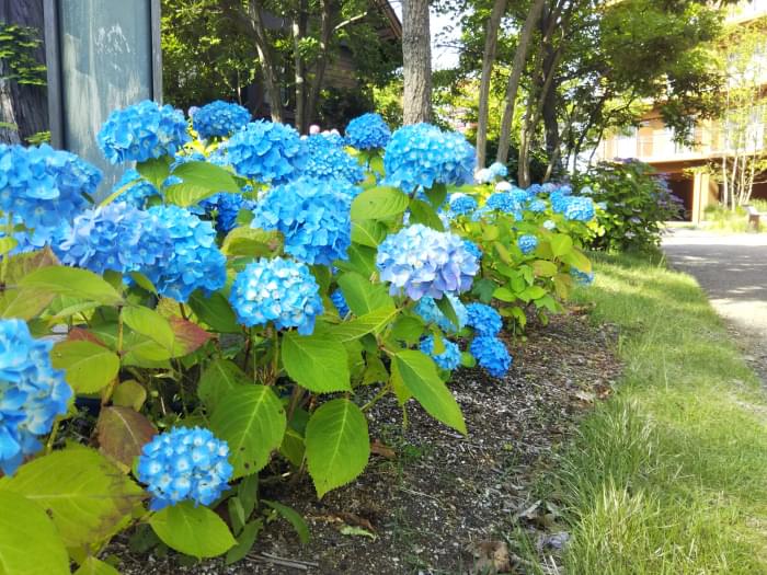 大阪リゾート ホテル・ロッジ舞洲の写真13