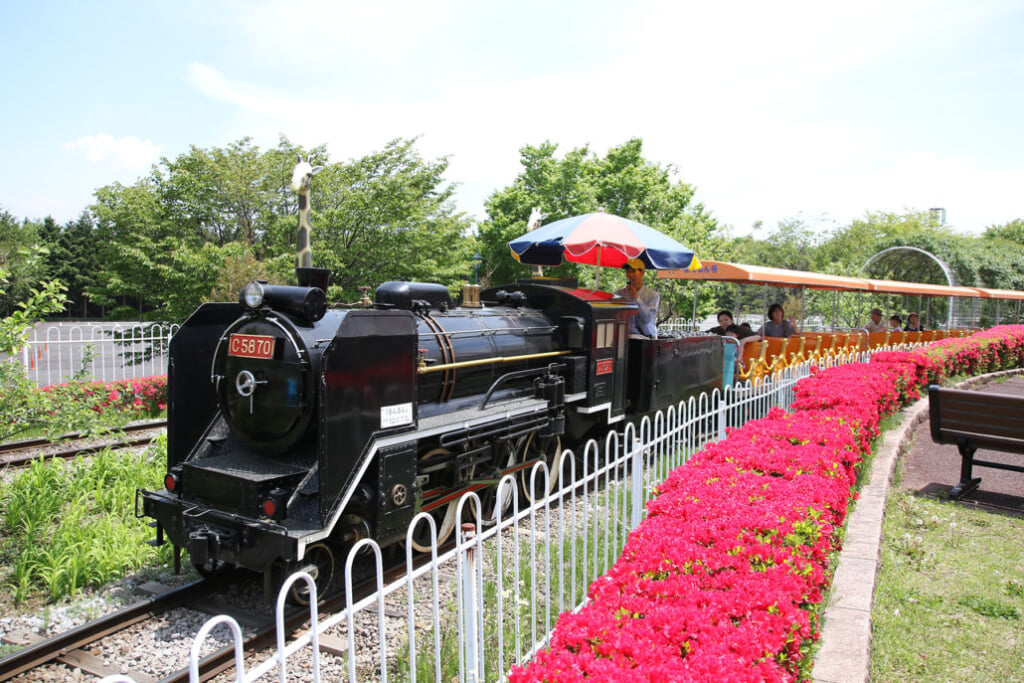 渋川スカイランドパークの写真1