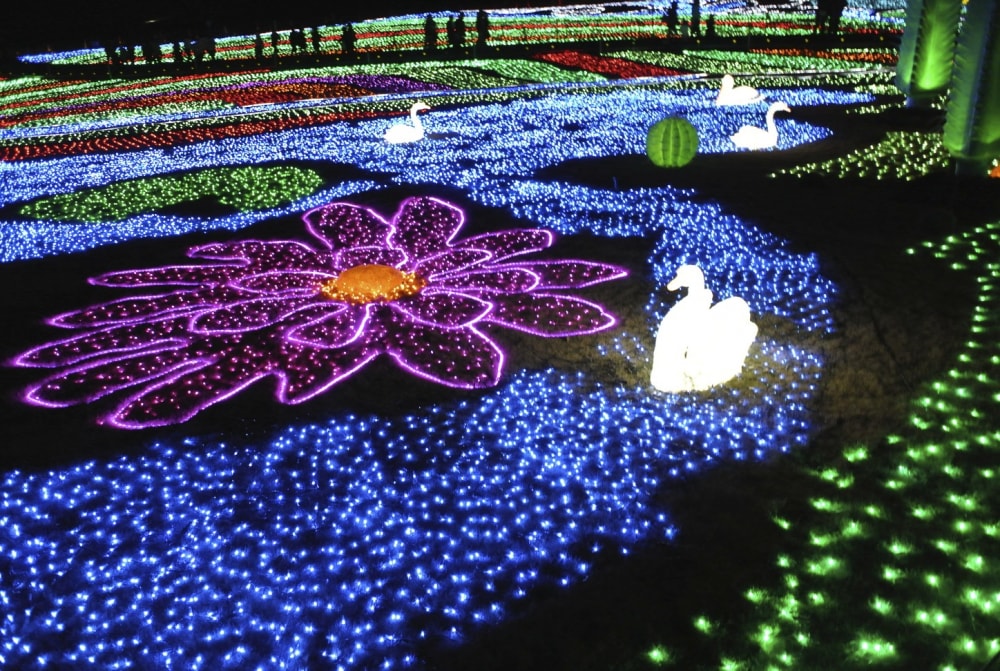 東京ドイツ村の写真3