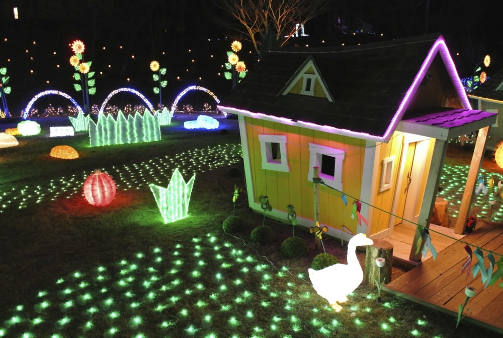 東京ドイツ村の写真8