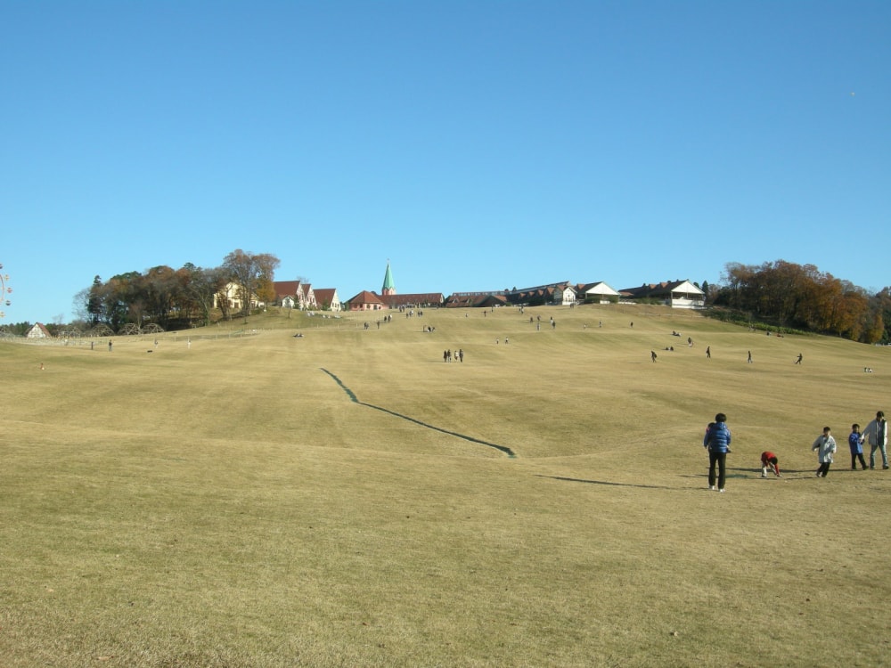 東京ドイツ村の写真10