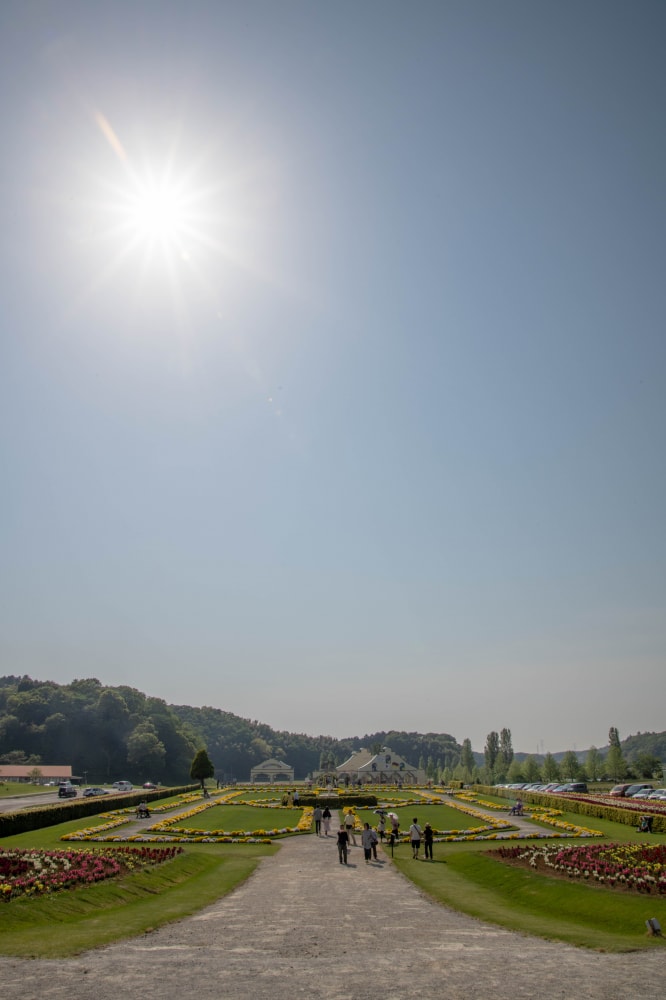 東京ドイツ村の写真11