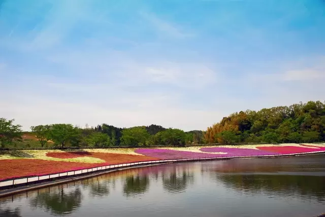 東京ドイツ村の写真1