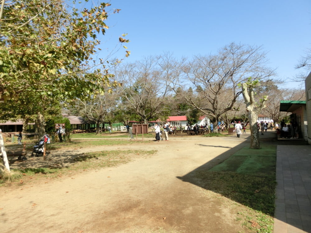 成田ゆめ牧場の写真2