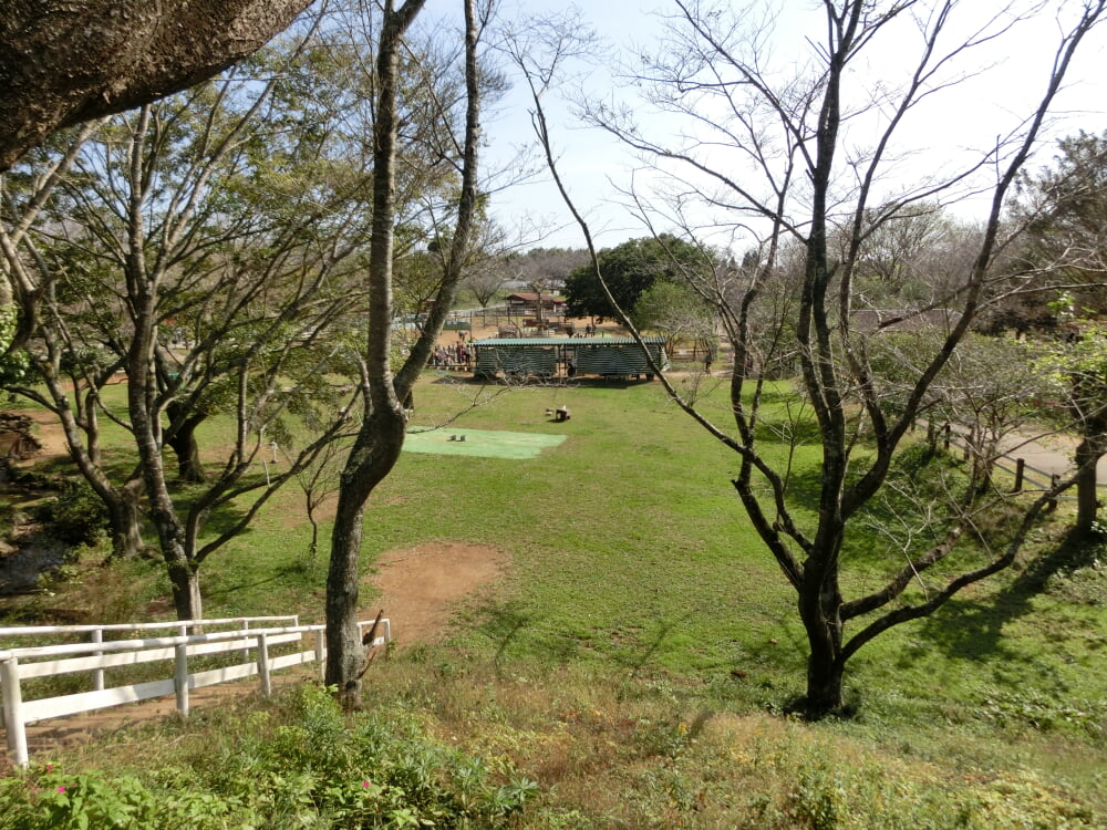 成田ゆめ牧場の写真4