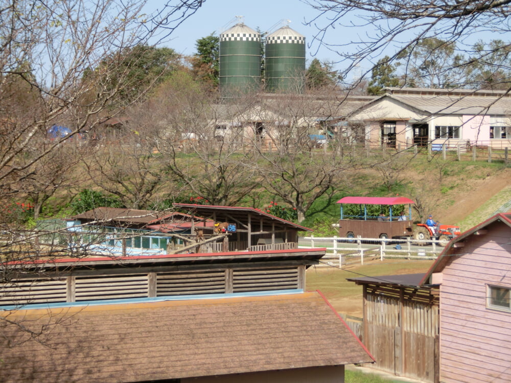 成田ゆめ牧場の写真6