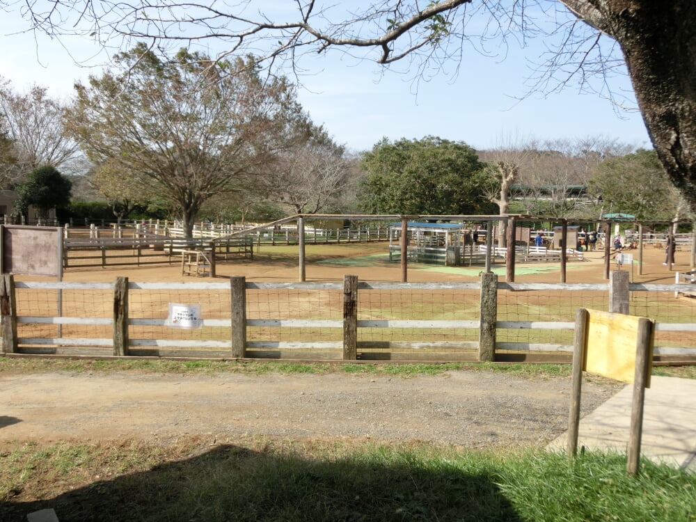 成田ゆめ牧場の写真7