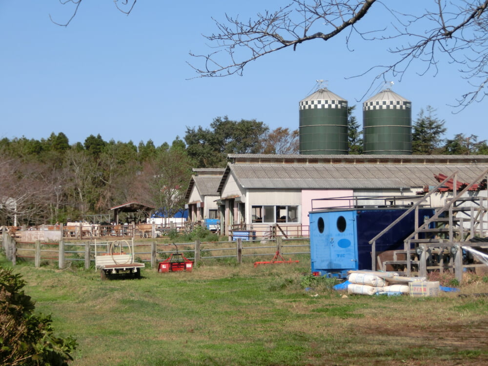 成田ゆめ牧場の写真8