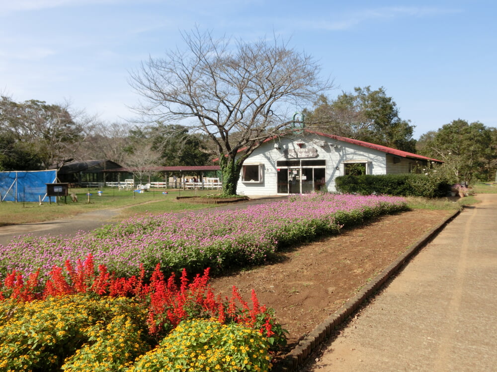 成田ゆめ牧場の写真9