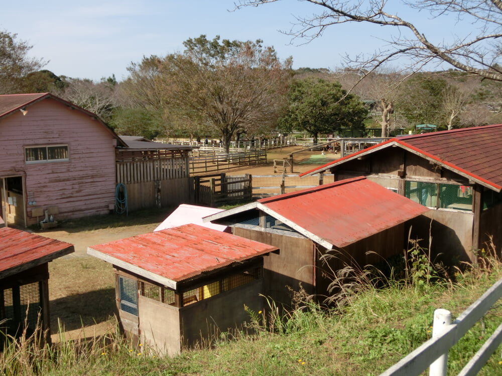 成田ゆめ牧場の写真11