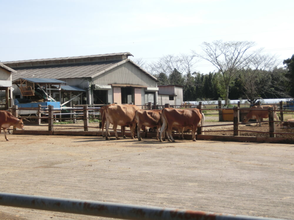 成田ゆめ牧場の写真12