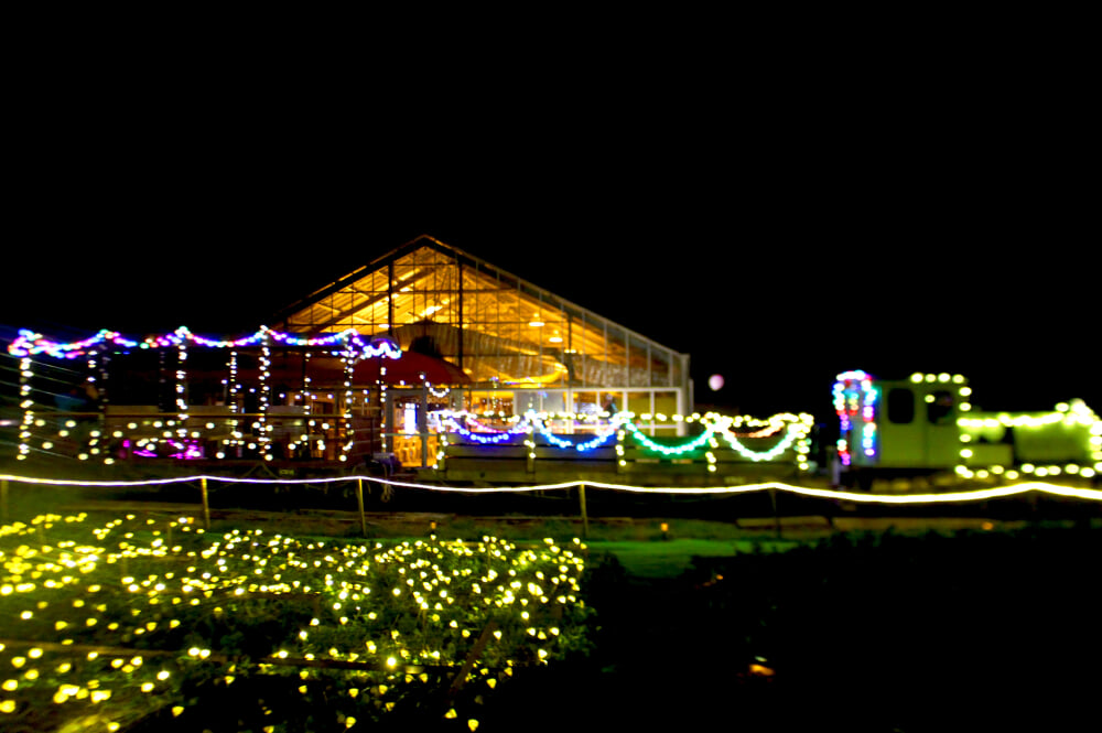 成田ゆめ牧場の写真13